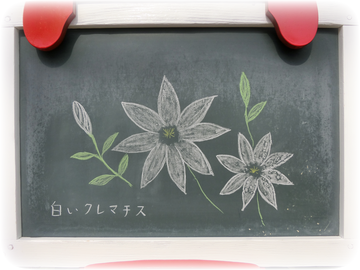 白いクレマチス ルックな毎日 Lookマツエ トップページ