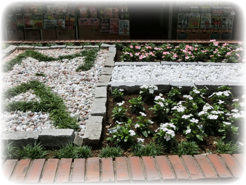 モンシェリー通りの花壇