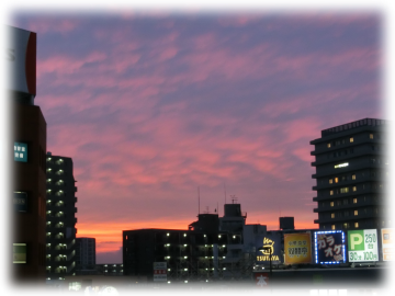 ２匹のネコ と 夕焼け ルックな毎日 Lookマツエ トップページ