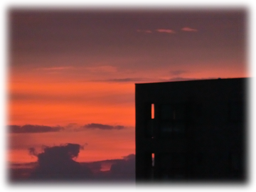 ２匹のネコ と 夕焼け ルックな毎日 Lookマツエ トップページ