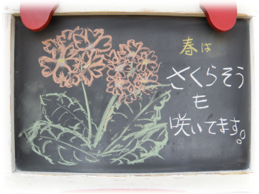 さくらそう咲いてます ルックな毎日 Lookマツエ トップページ さくらそう咲いてます ルックな毎日 Lookマツエ トップページ