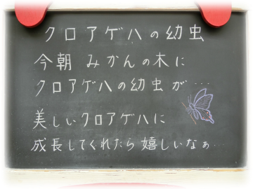 クロアゲハの幼虫 ルックな毎日 Lookマツエ トップページ クロアゲハの幼虫 ルックな毎日 Lookマツエ トップページ