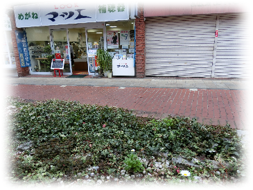 お店の前の花壇