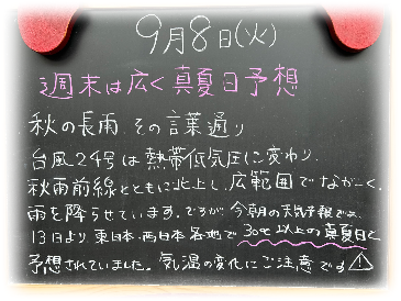 画像の説明