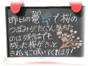 【現品】ぶつぶつノーネーム　検索) 麻花　冰雹 素敵な投稿のハズ… この花の名前の正解が何なのか分からない